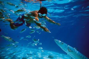best Snorkel el cielo