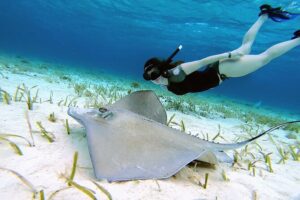 Snorkel Cozumel