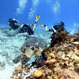 discover scuba diving