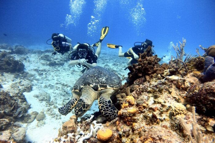 Discover Scuba Diving