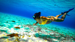 snorkeling cozumel