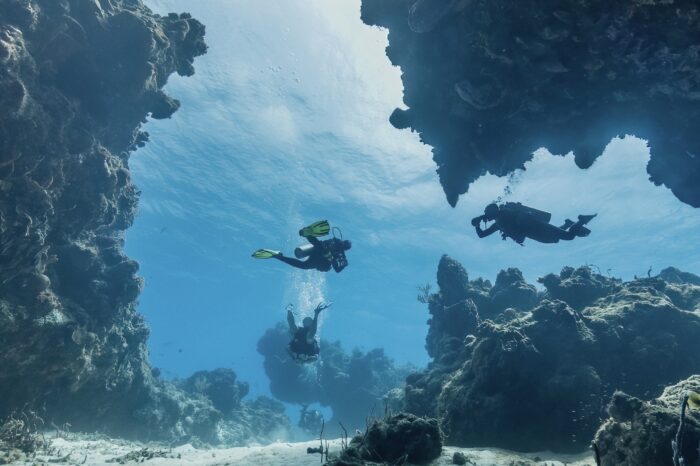 TWO TANK DIVE COZUMEL REEFS