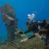 Cozumel Diving