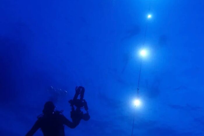 Blackwater Dive